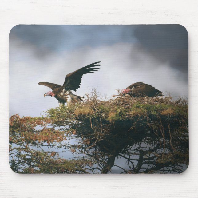 Nesting Vultures Mousepad (Front)