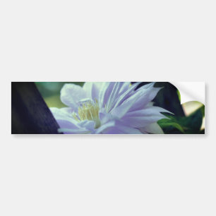 Nestled Clematis Flower  Bumper Sticker