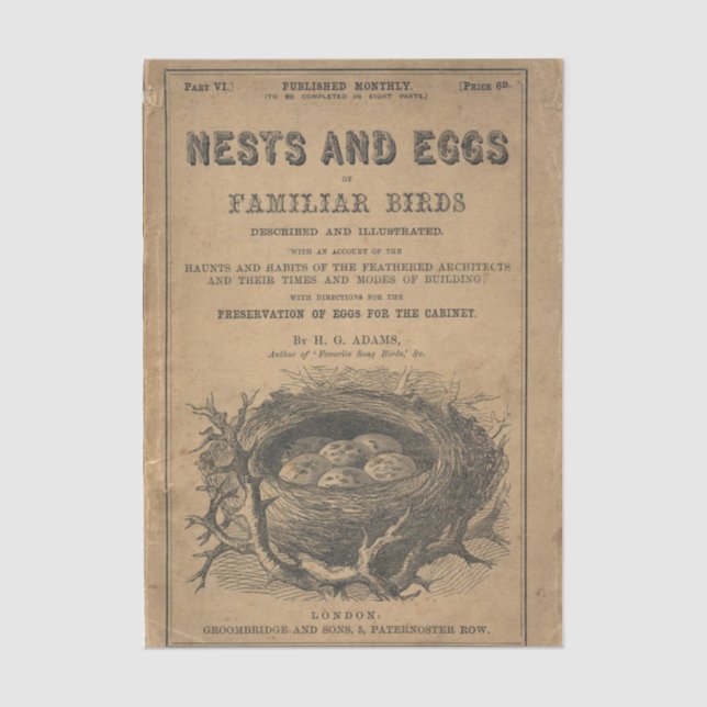 Nests and Eggs of Familiar Birds Tissue Paper (Front)