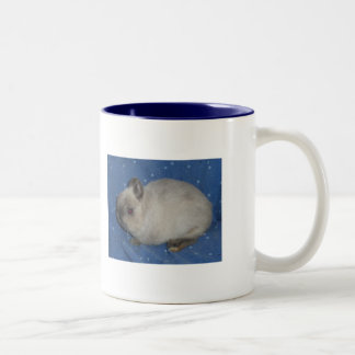 Netherland Dwarf Mug2 Two-Tone Coffee Mug