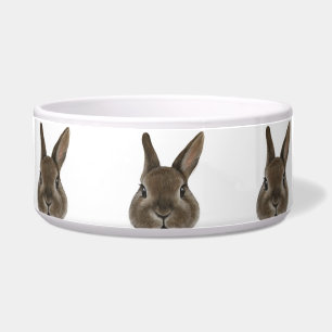 Netherland Dwarf rabbit Brown ceramic feeding