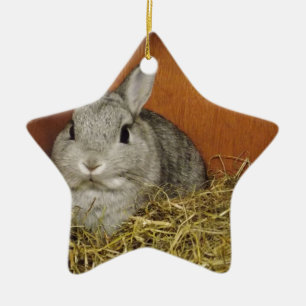 Netherland Dwarf Rabbit Ceramic Tree Decoration