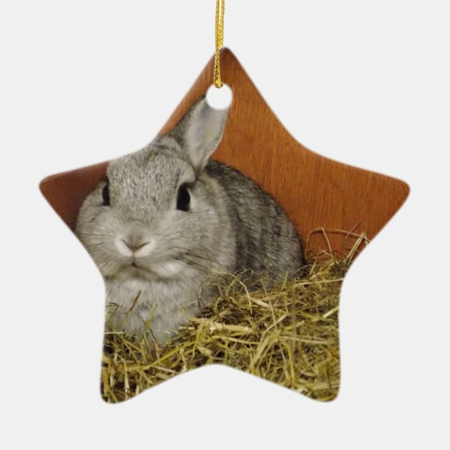 Netherland Dwarf Rabbit Ceramic Tree Decoration (Front)