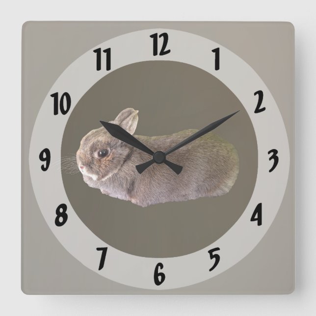 Netherland Dwarf Rabbit Square Wall Clock (Front)