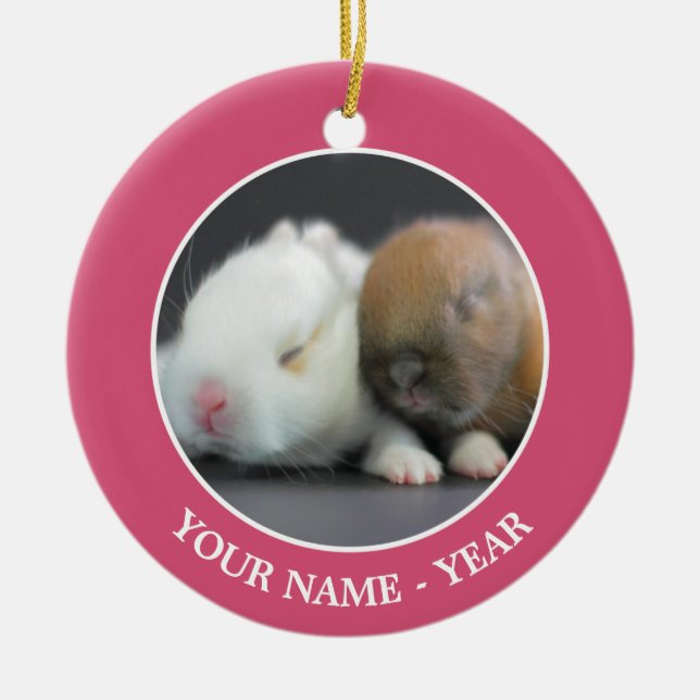 Netherland Dwarf Rabbits Ceramic Ornament (Front)