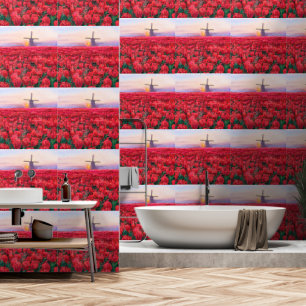 Netherland Tulips Field Wallpaper