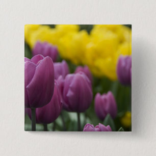 Netherlands aka Holland), Lisse. Keukenhof 10 15 Cm Square Badge