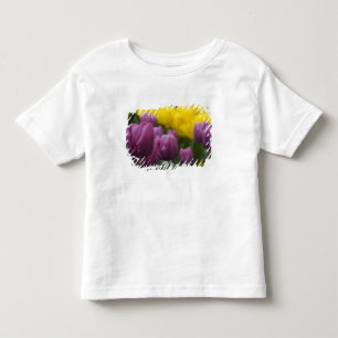 Netherlands aka Holland), Lisse. Keukenhof 10 Toddler T-Shirt