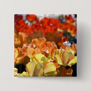 Netherlands aka Holland), Lisse. Keukenhof 15 Cm Square Badge