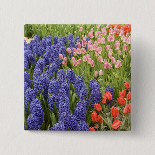 Netherlands aka Holland), Lisse. Keukenhof 2 15 Cm Square Badge