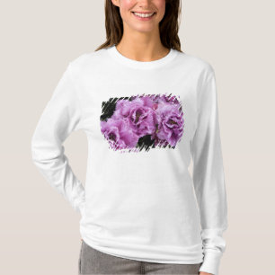 Netherlands (aka Holland), Lisse. Keukenhof 2 T-Shirt