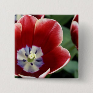 Netherlands (aka Holland), Lisse. Keukenhof 3 15 Cm Square Badge