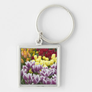 Netherlands aka Holland), Lisse. Keukenhof 3 Key Ring