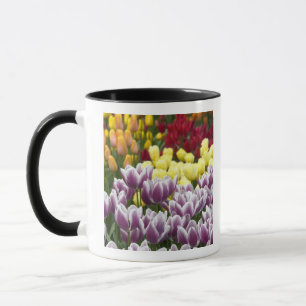 Netherlands aka Holland), Lisse. Keukenhof 3 Mug
