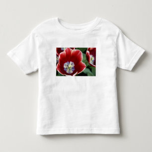 Netherlands (aka Holland), Lisse. Keukenhof 3 Toddler T-Shirt