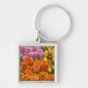 Netherlands aka Holland), Lisse. Keukenhof 4 Key Ring