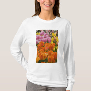 Netherlands aka Holland), Lisse. Keukenhof 4 T-Shirt