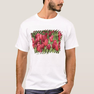 Netherlands (aka Holland), Lisse. Keukenhof 4 T-Shirt