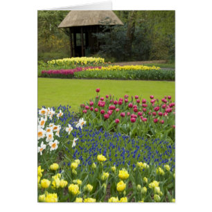 Netherlands aka Holland), Lisse. Keukenhof 5