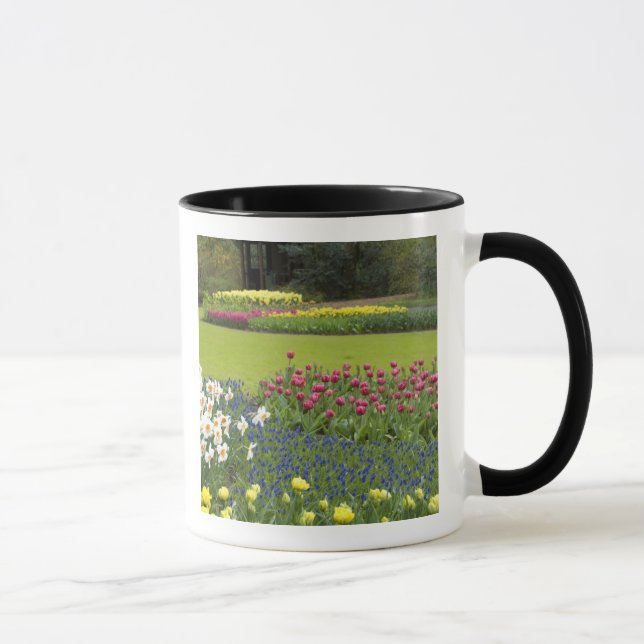 Netherlands aka Holland), Lisse. Keukenhof 5 Mug (Right)