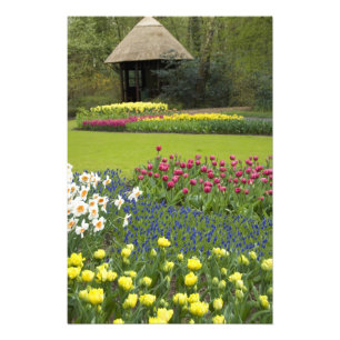 Netherlands aka Holland), Lisse. Keukenhof 5 Photo Print