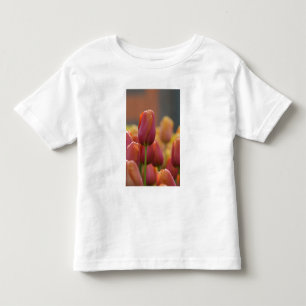 Netherlands aka Holland), Lisse. Keukenhof 6 Toddler T-Shirt