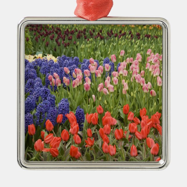 Netherlands aka Holland), Lisse. Keukenhof 8 Metal Ornament (Front)