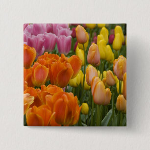 Netherlands aka Holland), Lisse. Keukenhof 9 15 Cm Square Badge