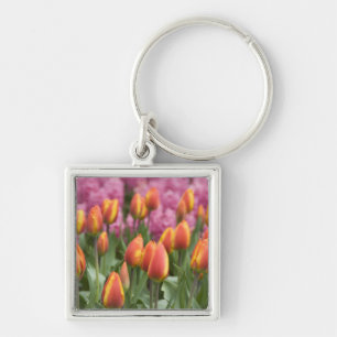 Netherlands (aka Holland), Lisse. Keukenhof Key Ring