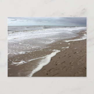 Netherlands Egmond aan Zee beach 02 Postcard