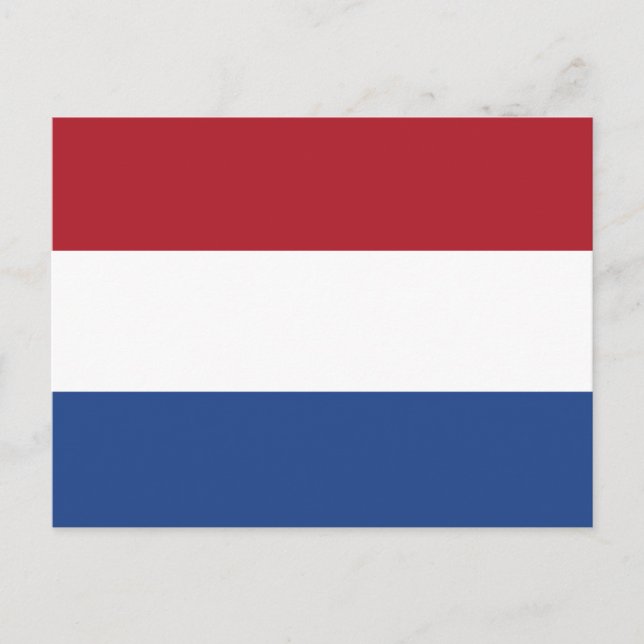 Netherlands Flag Postcard (Front)