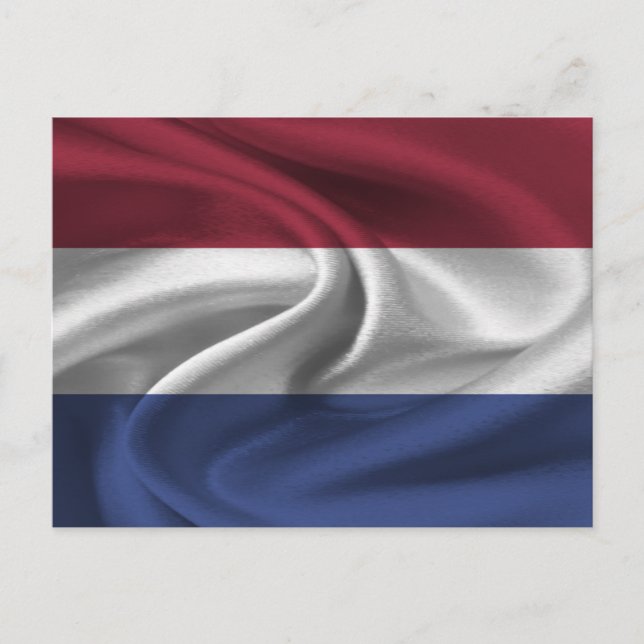 Netherlands Flag Postcard (Front)