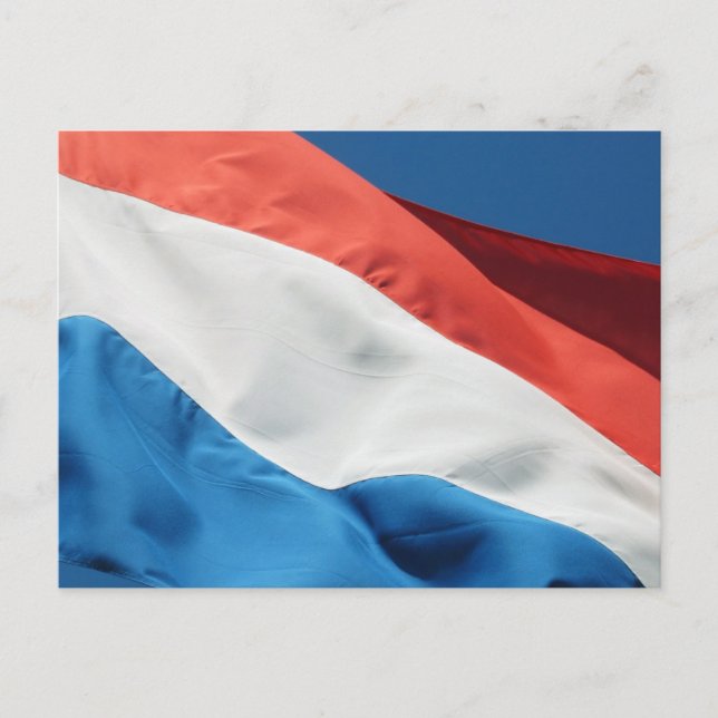 Netherlands Flag Postcard (Front)