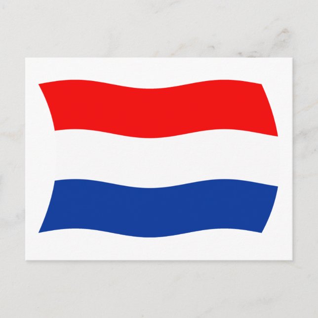 Netherlands Flag Postcard (Front)