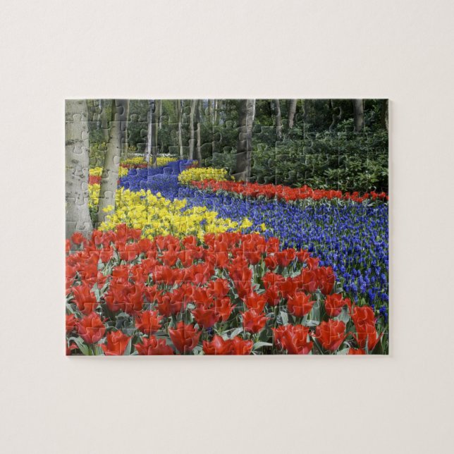 Netherlands, Holland, Lisse, Keukenhof Gardens Jigsaw Puzzle (Horizontal)