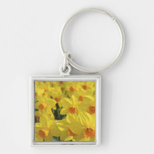 Netherlands, Holland, Lisse, Keukenhof Gardens, Key Ring