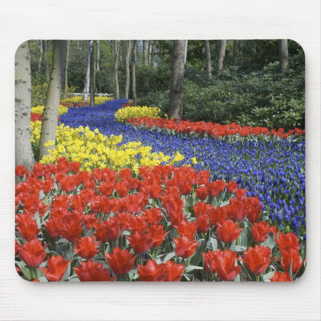 Netherlands, Holland, Lisse, Keukenhof Gardens Mouse Pad (Front)