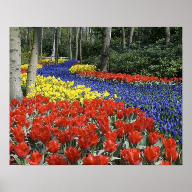 Netherlands, Holland, Lisse, Keukenhof Gardens Poster (Front)