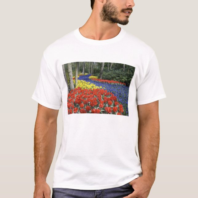 Netherlands, Holland, Lisse, Keukenhof Gardens T-Shirt (Front)