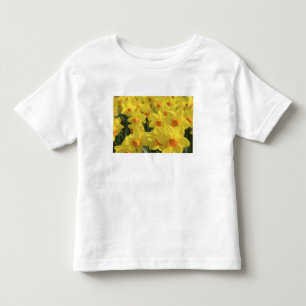 Netherlands, Holland, Lisse, Keukenhof Gardens, Toddler T-Shirt