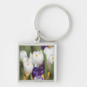 Netherlands, Keukenhoff Gardens, Tulips. Key Ring