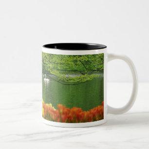 Netherlands, Lisse. White swans on pond amid Two-Tone Coffee Mug