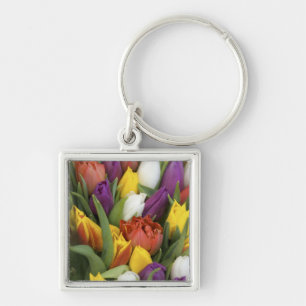 Netherlands, South Holland, Amsterdam Key Ring