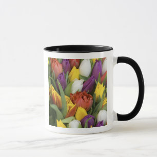 Netherlands, South Holland, Amsterdam Mug