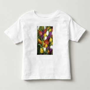 Netherlands, South Holland, Amsterdam Toddler T-Shirt