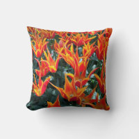 Netherlands Tulips Keukenhof Pillow Europe