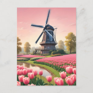 Netherlands Windmills Postcard