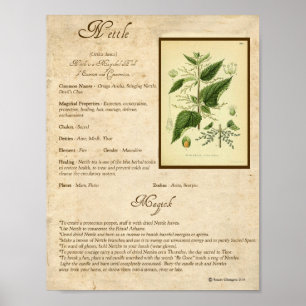 NETTLE MAGICK HERB POSTER