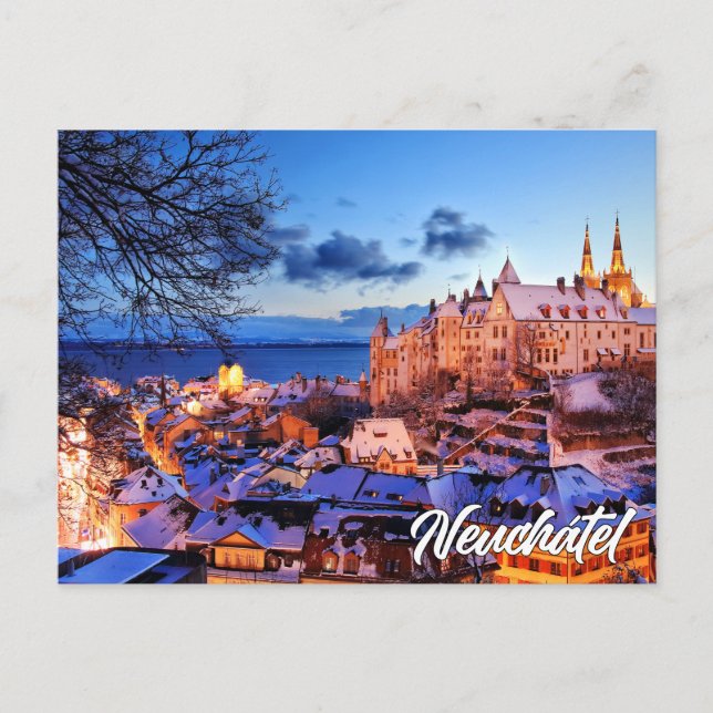 Neuchatel Castle, Switzerland Postcard (Front)