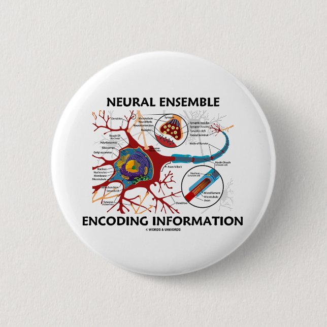 Neural Ensemble Encoding Information (Neuron) 6 Cm Round Badge (Front)